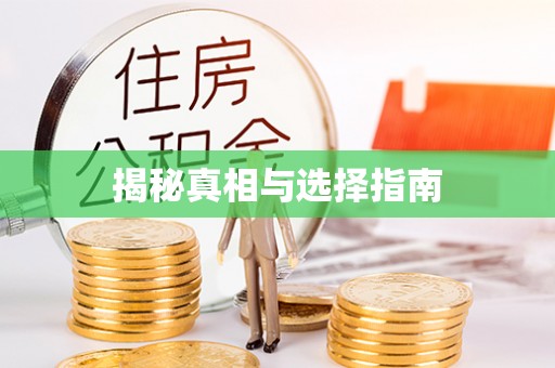 容城揭秘真相与选择指南