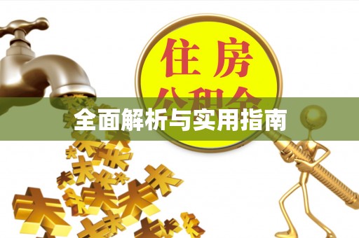 容城全面解析与实用指南