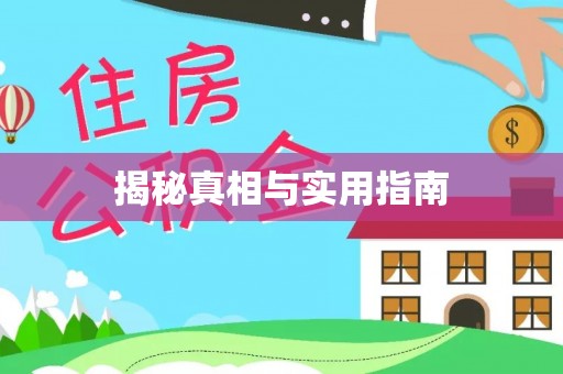 容城揭秘真相与实用指南