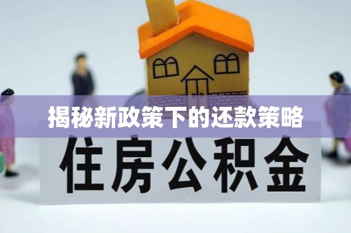 容城揭秘新政策下的还款策略