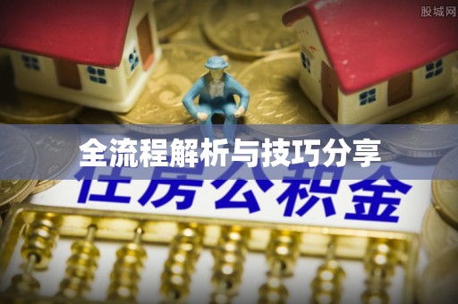 容城全流程解析与技巧分享