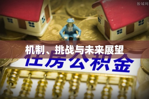 容城机制、挑战与未来展望